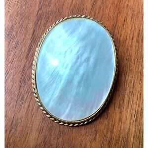 Vintage Oval Brooch Mother of Pearl Gold Tone Rope Twist Bezel Pin